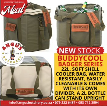 Buddy cool Badger Series